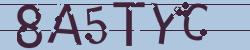 Retype the CAPTCHA code from the image